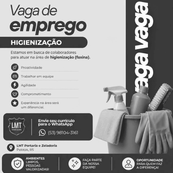 Profissional realizando limpeza e higienização em Pelotas