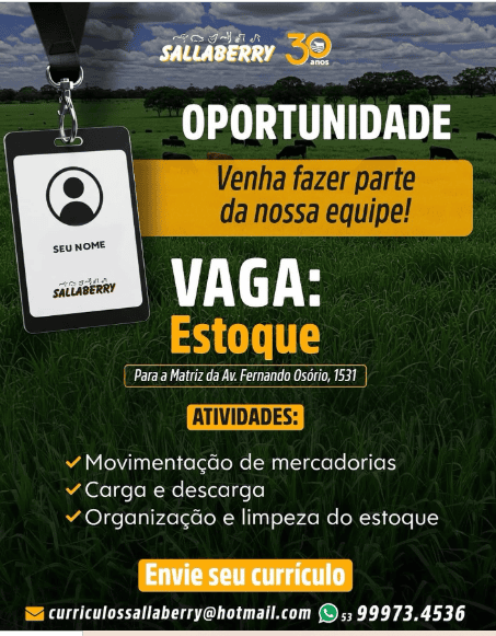 Ilustração de vaga de emprego no setor de estoque da empresa Sallaberry.